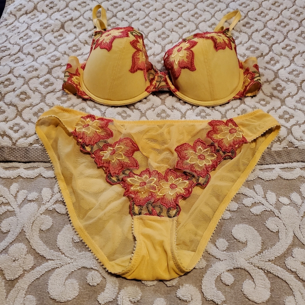 Vogue Dessous 2 piece embroidered bra and panty set